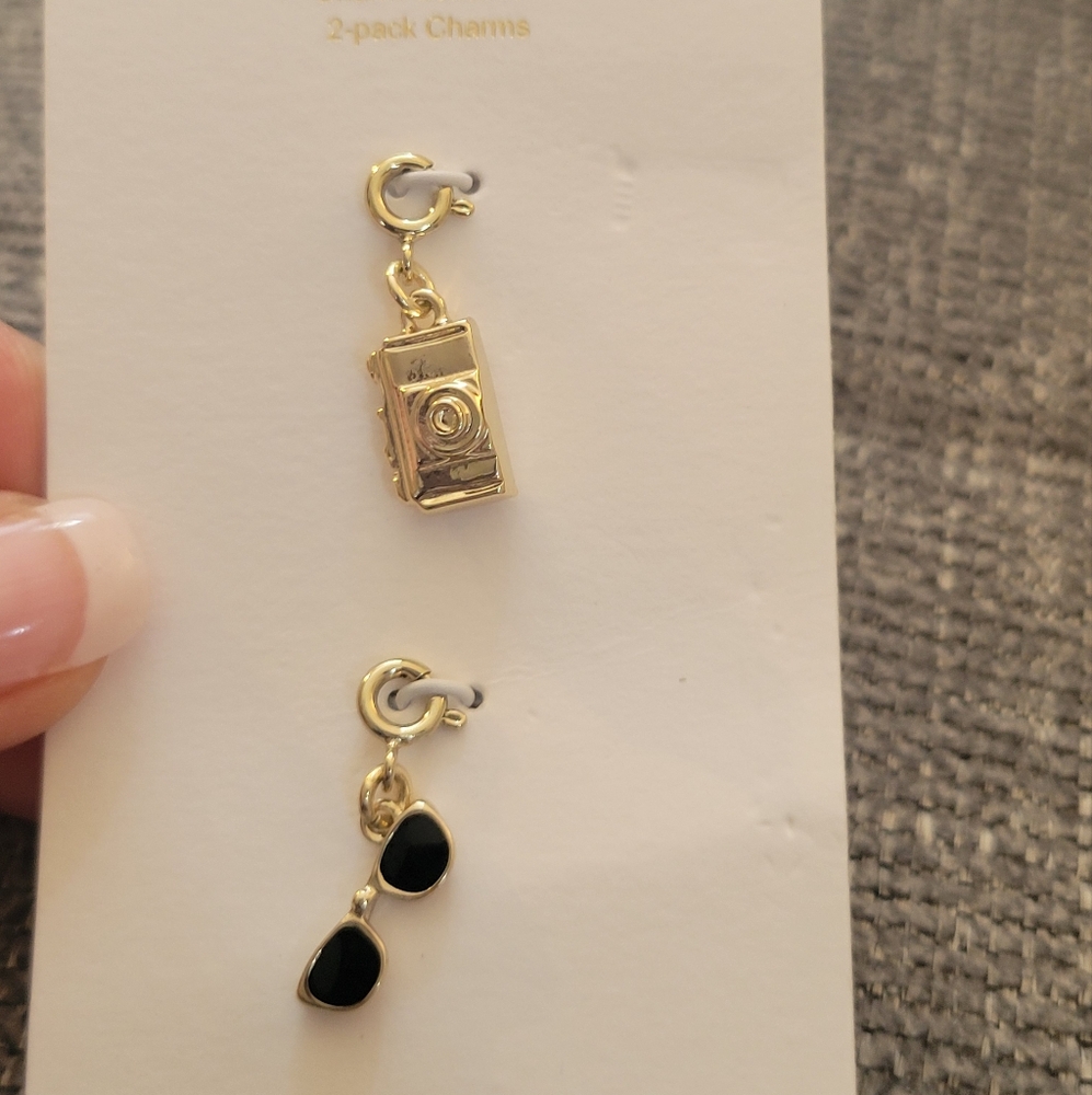 Camera And Sunglasses Charm Set
